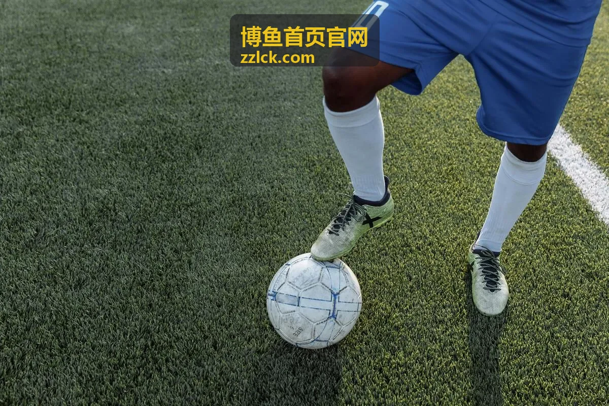 博鱼首页官网用户调研专员头像